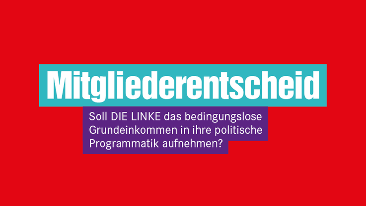 Parteidemokratie: DIE LINKE.